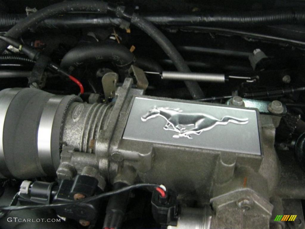 2004 Mustang GT Coupe - Black / Medium Parchment photo #14