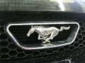 Black - Mustang GT Coupe Photo No. 15