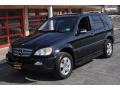 Black - ML 350 4Matic Photo No. 1