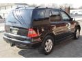 Black - ML 350 4Matic Photo No. 3