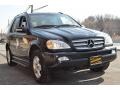 Black - ML 350 4Matic Photo No. 4