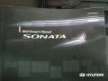Radiant Silver - Sonata GLS Photo No. 19