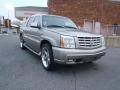 Silver Sand - Escalade EXT AWD Photo No. 18