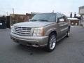 Silver Sand - Escalade EXT AWD Photo No. 19