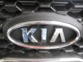 2011 Ebony Black Kia Sorento LX  photo #25