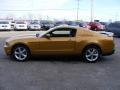 2010 Sunset Gold Metallic Ford Mustang GT Premium Coupe  photo #6
