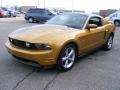2010 Sunset Gold Metallic Ford Mustang GT Premium Coupe  photo #7