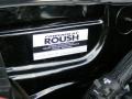 2010 Ford Mustang 4.6 Liter Roush Supercharged SOHC 24-Valve VVT V8 Engine Photo