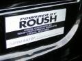 2010 Ford Mustang 4.6 Liter Roush Supercharged SOHC 24-Valve VVT V8 Engine Photo