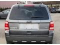 2010 Sterling Grey Metallic Ford Escape XLT V6 4WD  photo #7