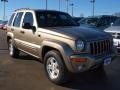 Light Khaki Metallic - Liberty Limited 4x4 Photo No. 2