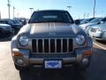 Light Khaki Metallic - Liberty Limited 4x4 Photo No. 8