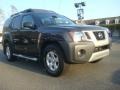 Night Armor Metallic - Xterra S Photo No. 1