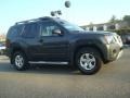 Night Armor Metallic - Xterra S Photo No. 2