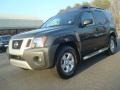 Night Armor Metallic - Xterra S Photo No. 7