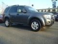 2010 Sterling Grey Metallic Ford Escape XLT  photo #2