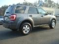 2010 Sterling Grey Metallic Ford Escape XLT  photo #4