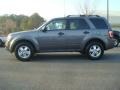2010 Sterling Grey Metallic Ford Escape XLT  photo #6