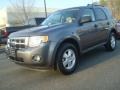 2010 Sterling Grey Metallic Ford Escape XLT  photo #7