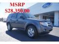 2011 Sterling Grey Metallic Ford Escape XLT 4WD  photo #1