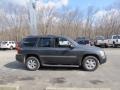 Graphite Gray Metallic - Envoy SLT 4x4 Photo No. 11