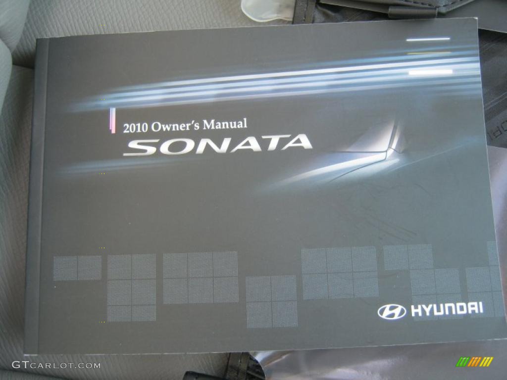 2010 Sonata SE - Slate Blue / Gray photo #22