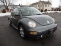 Platinum Grey Metallic - New Beetle GLS Coupe Photo No. 2