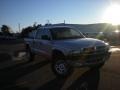 2002 Bright Silver Metallic Dodge Dakota Sport Quad Cab 4x4  photo #3