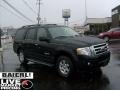 Black 2007 Ford Expedition XLT 4x4