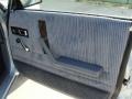 Blue Door Panel Photo for 1989 Plymouth Reliant K #45655157
