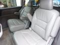 Quartz Gray 2002 Honda Odyssey EX-L Interior Color