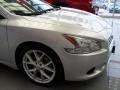 Radiant Silver Metallic - Maxima 3.5 SV Premium Photo No. 10