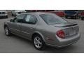 Gray Lustre Metallic - Maxima GLE Photo No. 3