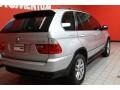 Titanium Silver Metallic - X5 3.0i Photo No. 3
