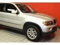 Titanium Silver Metallic - X5 3.0i Photo No. 11