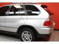 Titanium Silver Metallic - X5 3.0i Photo No. 17