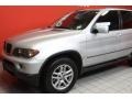 Titanium Silver Metallic - X5 3.0i Photo No. 18