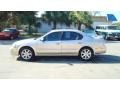 Sunlit Sand Metallic - Maxima GLE Photo No. 6