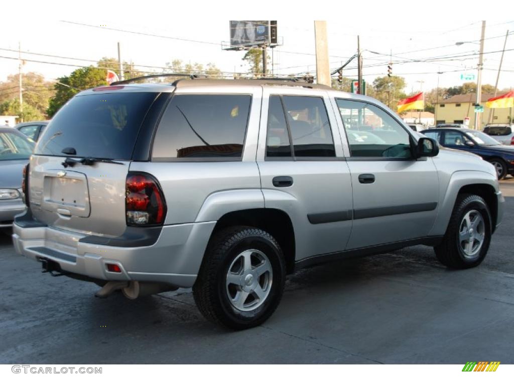 2005 TrailBlazer LS 4x4 - Silverstone Metallic / Light Gray photo #9