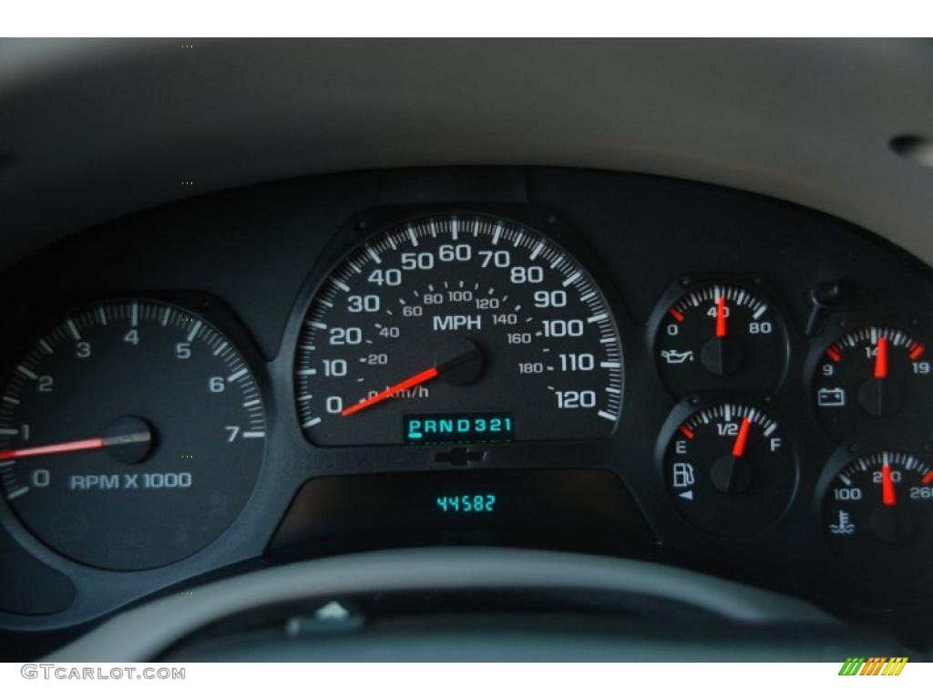2005 TrailBlazer LS 4x4 - Silverstone Metallic / Light Gray photo #11