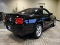 2007 Black Ford Mustang V6 Premium Coupe  photo #10