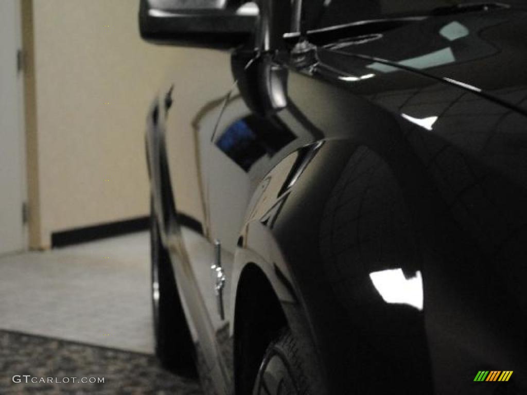 2007 Mustang V6 Premium Coupe - Black / Dark Charcoal photo #13