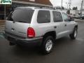 Bright Silver Metallic - Durango SXT 4x4 Photo No. 3