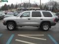 Bright Silver Metallic - Durango SXT 4x4 Photo No. 6