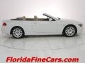 Alpine White - 6 Series 645i Convertible Photo No. 4