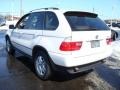 Alpine White - X5 3.0i Photo No. 8