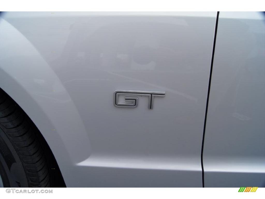 2007 Mustang GT Premium Coupe - Satin Silver Metallic / Light Graphite photo #34