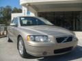 Lunar Gold Metallic - S60 2.5T Photo No. 9