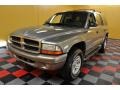 2001 Bright Platinum Metallic Dodge Durango SLT 4x4  photo #2