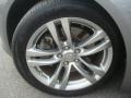 Platinum Graphite Gray - G 37 Coupe Photo No. 23